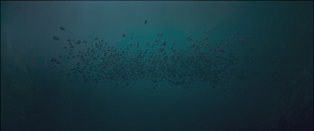 上线3天,累计播放量破2亿,《云南虫谷》抓住了“爆款”的密码休闲区蓝鸢梦想 - Www.slyday.coM 上线3天,累计播放量破2亿,《云南虫谷》抓住了“爆款”的密码休闲区蓝鸢梦想 - Www.slyday.coM