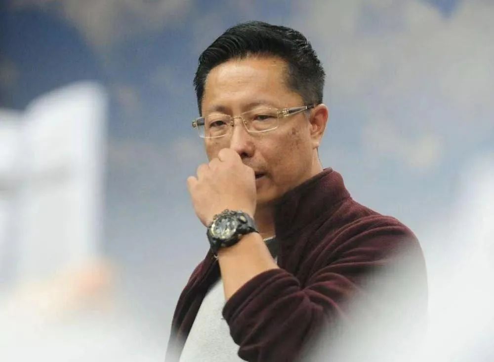 李阳再家暴家暴真的只有0次和无数次