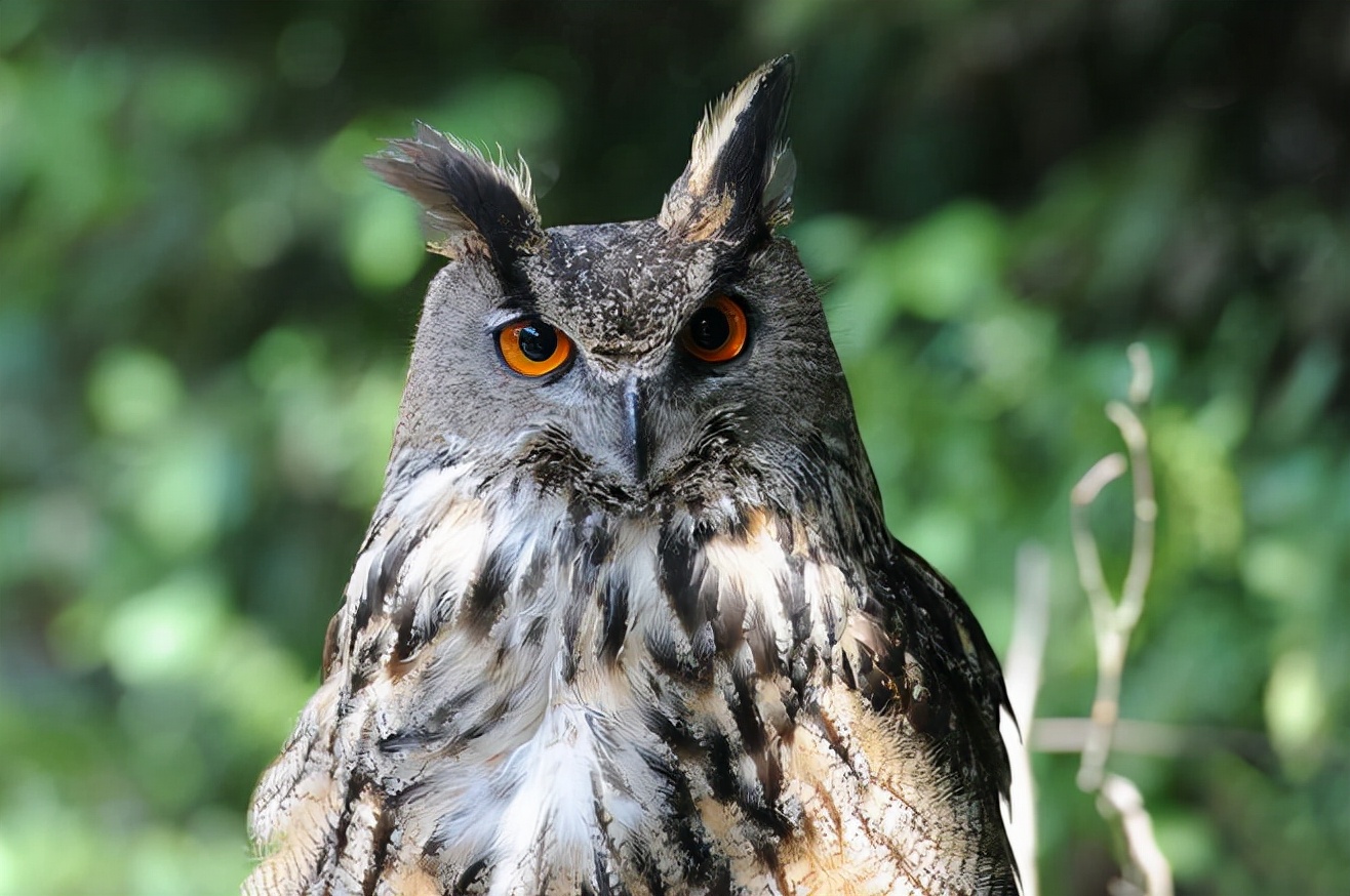 《云南虫谷》:云南元素很加分充满神秘色彩,探险过程精彩纷呈休闲区蓝鸢梦想 - Www.slyday.coM 《云南虫谷》:云南元素很加分充满神秘色彩,探险过程精彩纷呈休闲区蓝鸢梦想 - Www.slyday.coM