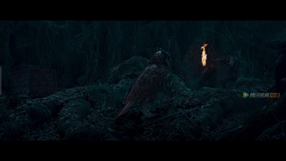 《云南虫谷》开分7.9，潘粤明张雨绮原班人马回归，质量不减反增休闲区蓝鸢梦想 - Www.slyday.coM