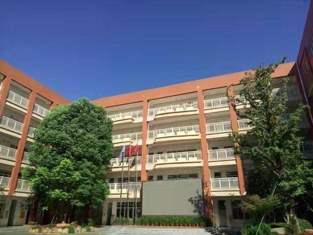 南京市拉萨路小学校长严瑾百步少年立志未来强国有我