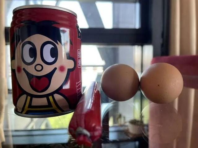 神兽归笼！杭州人的朋友圈一片欢腾！有人送娃路上收到“神秘礼包”：也太懂了吧休闲区蓝鸢梦想 - Www.slyday.coM
