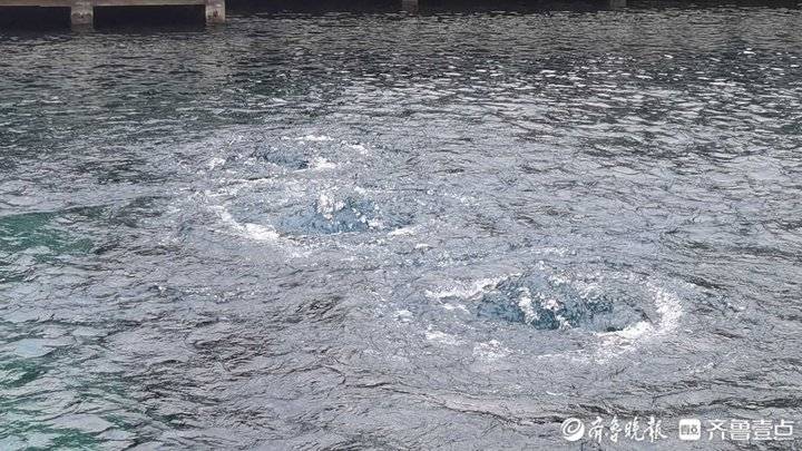 趵突泉地下水位三天连涨17厘米历史同期五年最高