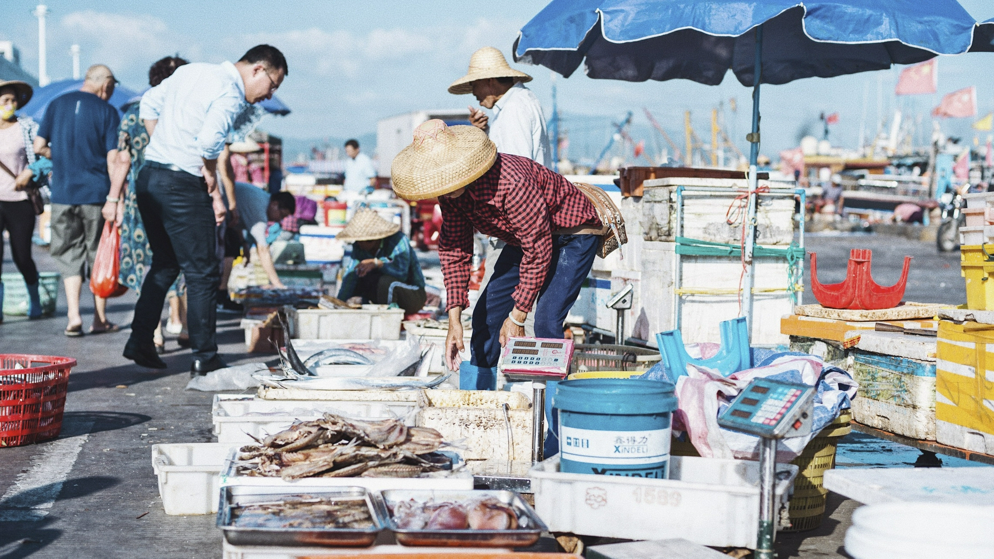 三亚崖州中心渔港,我国最南端规模最大渔港,海鲜种类超多超便宜