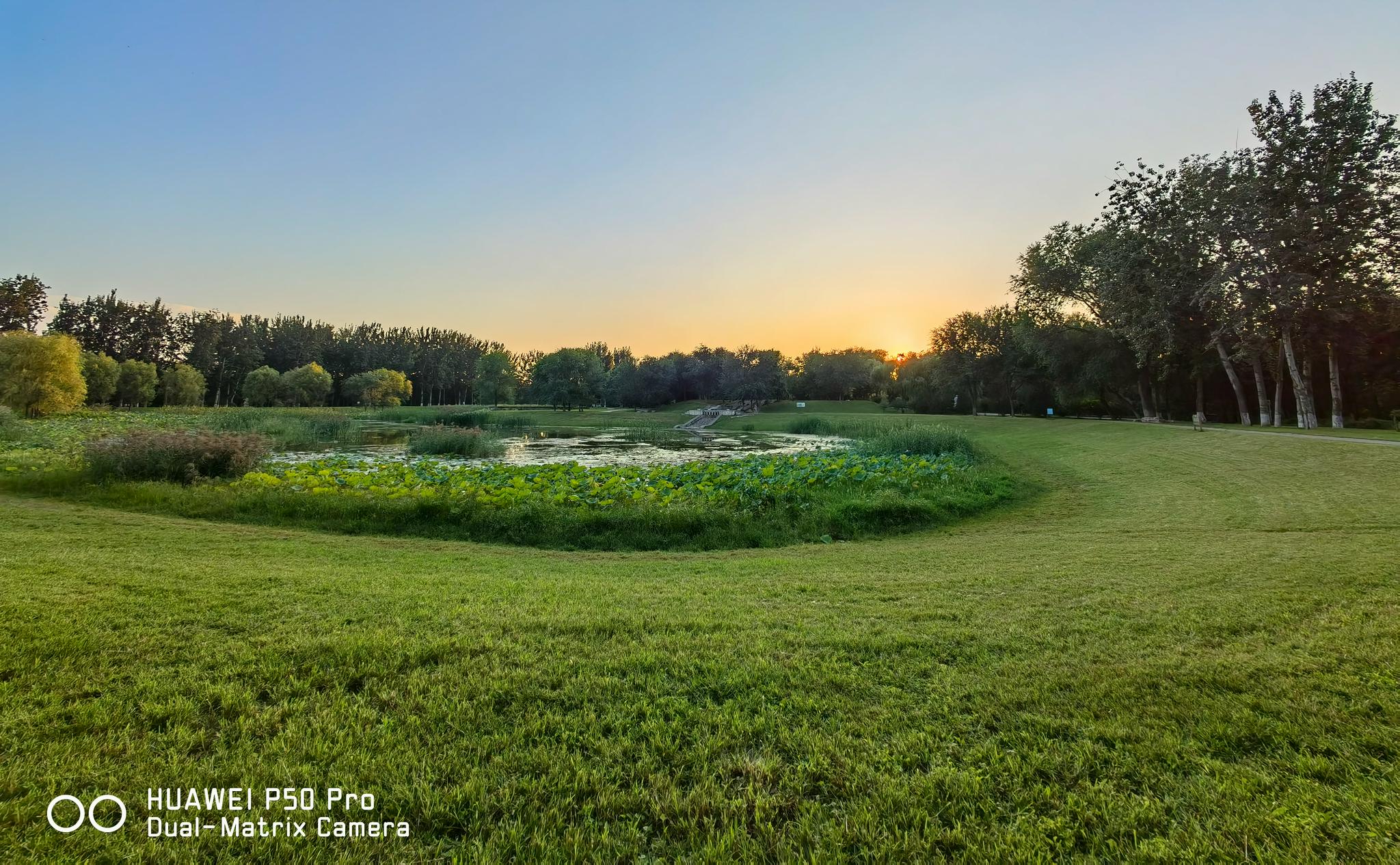 拍了2000张照片,看今年的影像旗舰华为p50 pro的拍照能力有多强