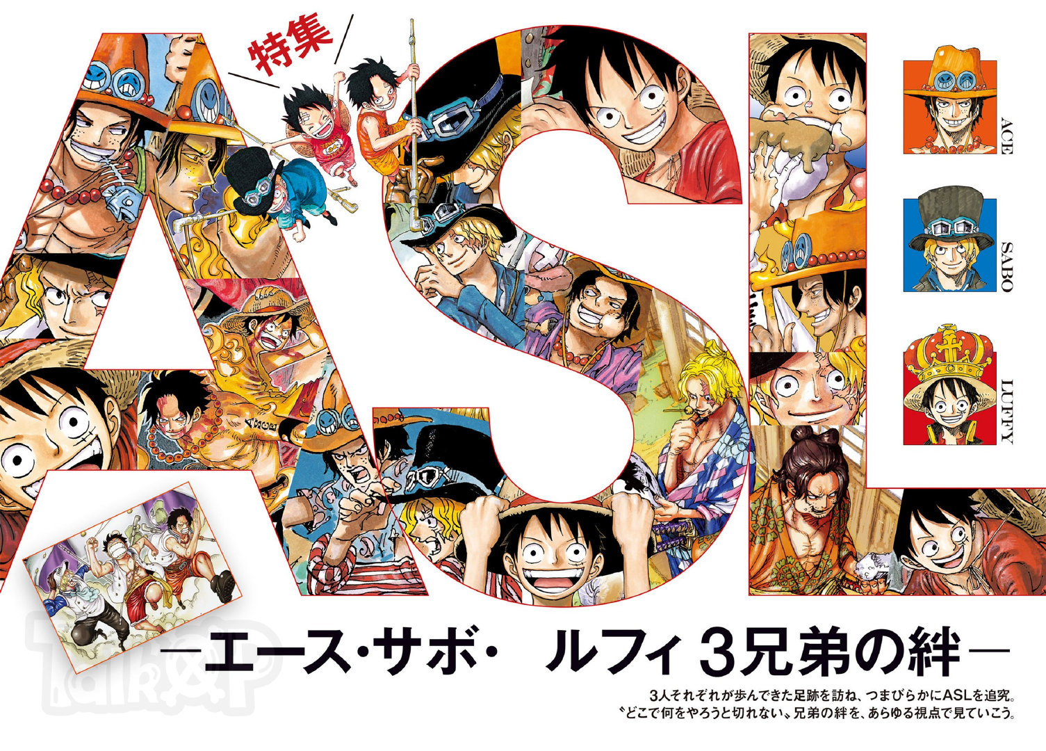 42 割引総合福袋 確認用 Onepiece 三兄弟 キャラクターグッズ おもちゃ Breakwaterstudios Com