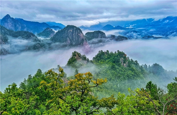 据悉,老界岭景区位于河南省南阳市西峡县境内,是世界地质公园,国家5a