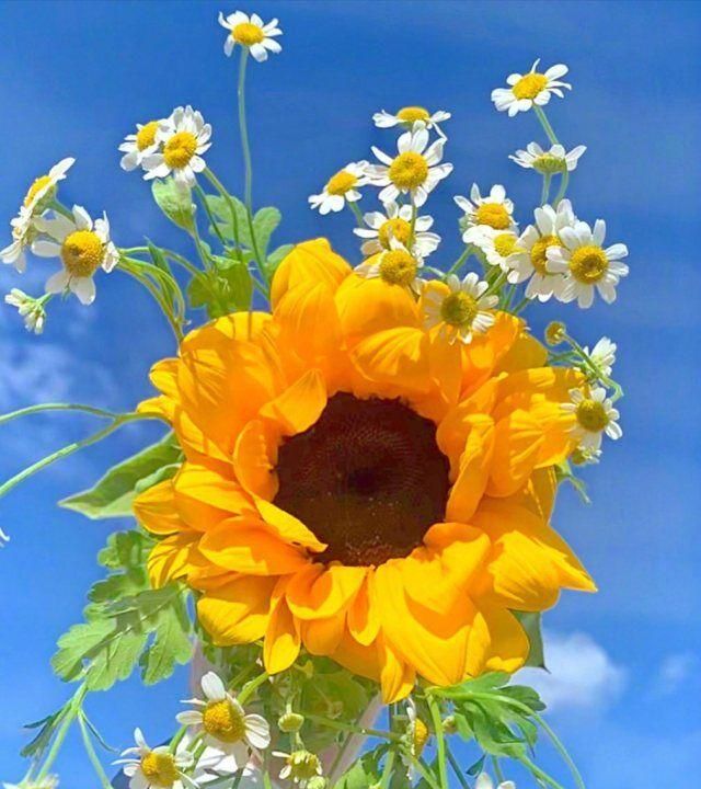 朋友圈唯美的心情文案简短走心情商超高