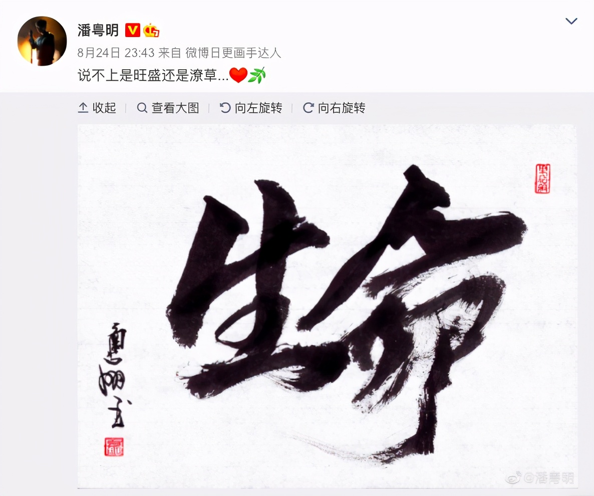 潘粤明的字好漂亮你是我的荣耀鬼吹灯片头字都出自他