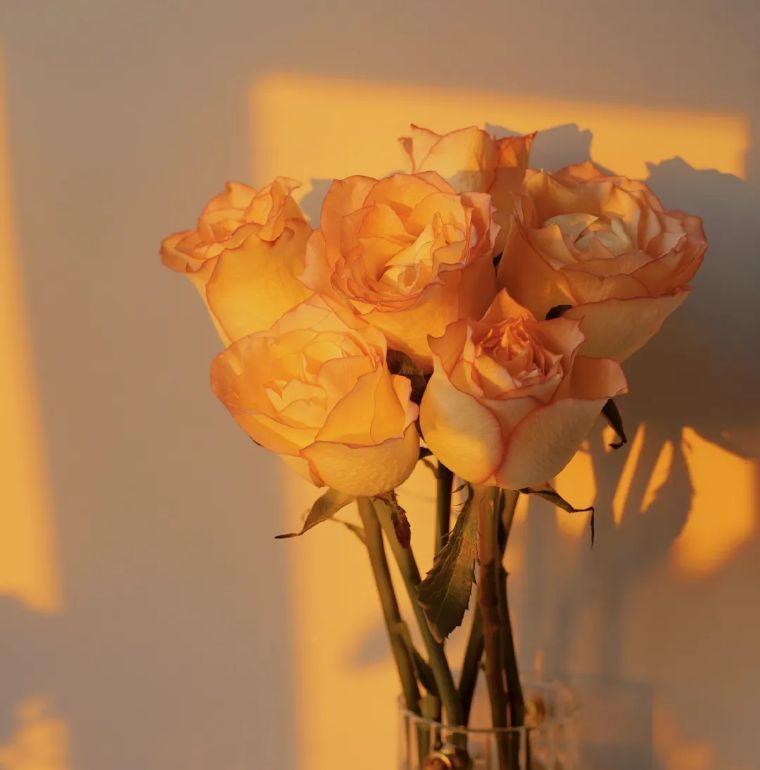 男人只是把你当朋友,还是爱上你了,是可以看出来的：三个举止休闲区蓝鸢梦想 - Www.slyday.coM