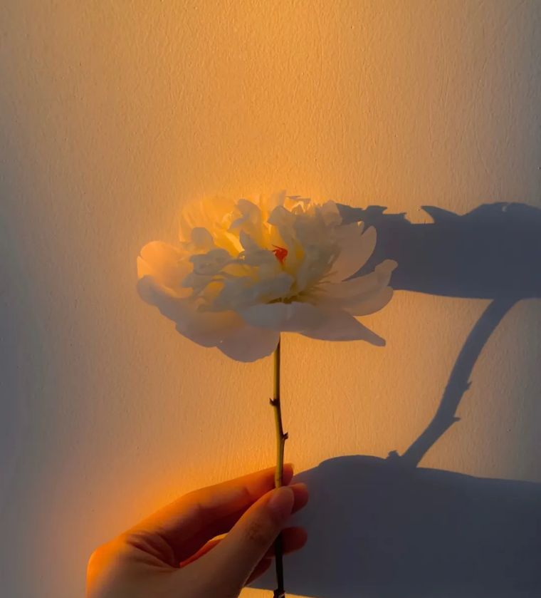 男人只是把你当朋友,还是爱上你了,是可以看出来的：三个举止休闲区蓝鸢梦想 - Www.slyday.coM