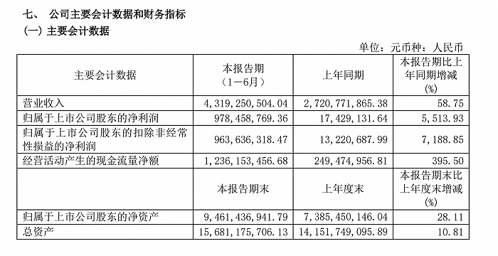 图片来源：滨化股份2021 年半年度报告截图