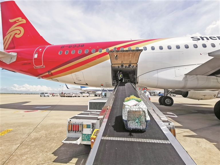 深圳宝安国际机场国内货站联合深航货运推出了宠物运输精品服务.