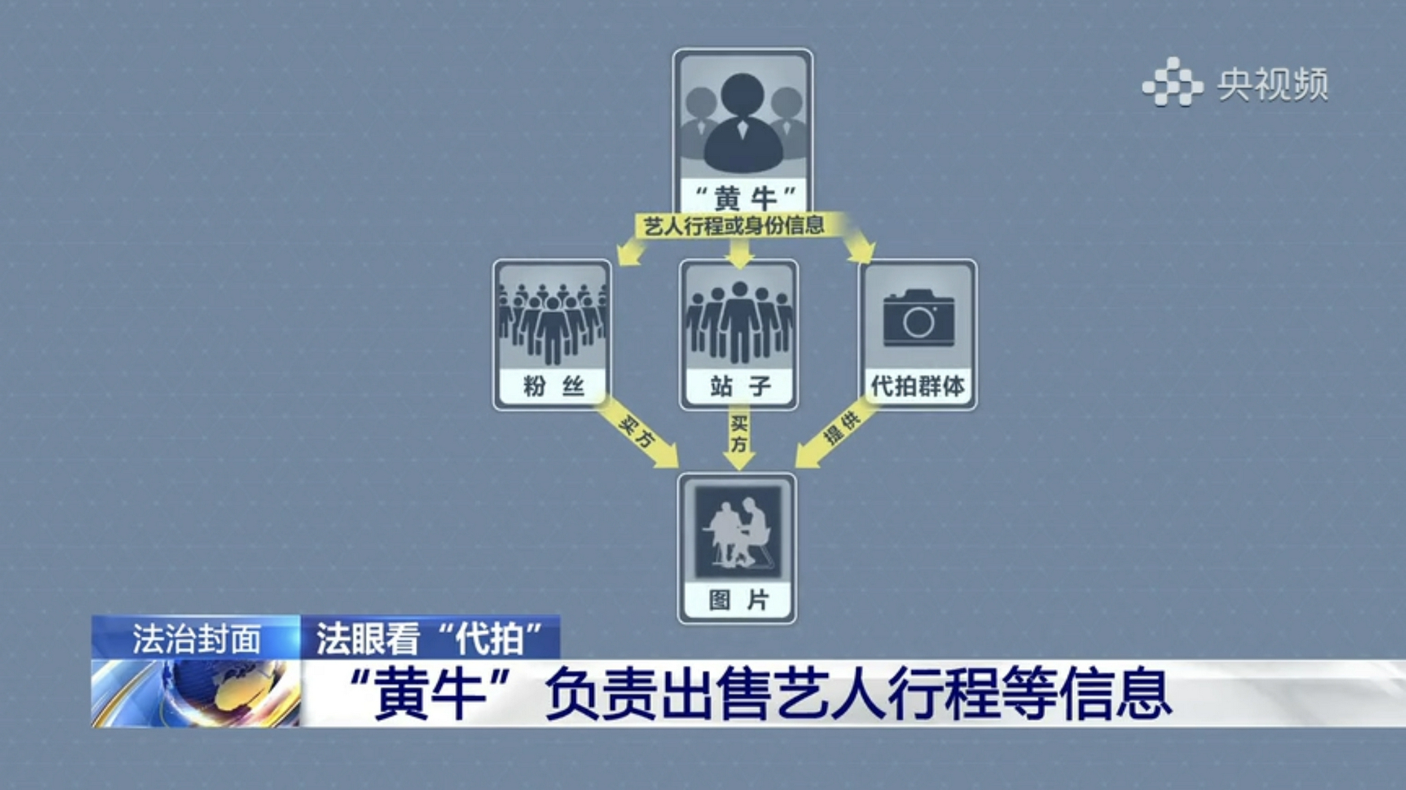 央视揭露代拍产业链乱象，称其涉嫌违法，章子怡曾怒斥早晚要出事休闲区蓝鸢梦想 - Www.slyday.coM