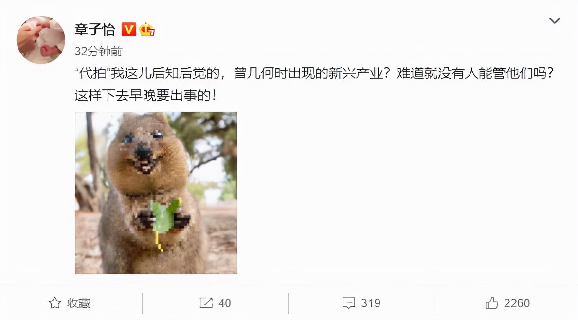 央视揭露代拍产业链乱象，称其涉嫌违法，章子怡曾怒斥早晚要出事休闲区蓝鸢梦想 - Www.slyday.coM