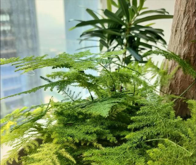 小喜年｜泡过的茶叶直接就倒了?带你解锁4个茶渣新功能休闲区蓝鸢梦想 - Www.slyday.coM