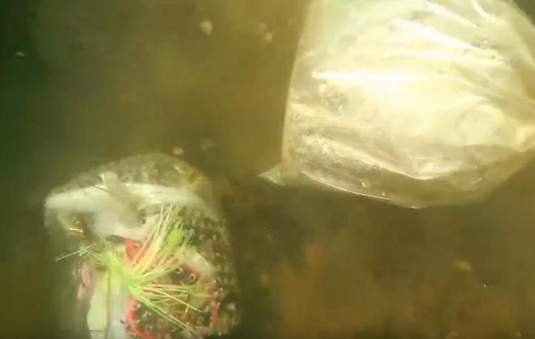 小伙深海潜水发现神奇的木盒，当打开后把他吓了一跳！休闲区蓝鸢梦想 - Www.slyday.coM