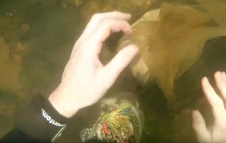 小伙深海潜水发现神奇的木盒，当打开后把他吓了一跳！休闲区蓝鸢梦想 - Www.slyday.coM