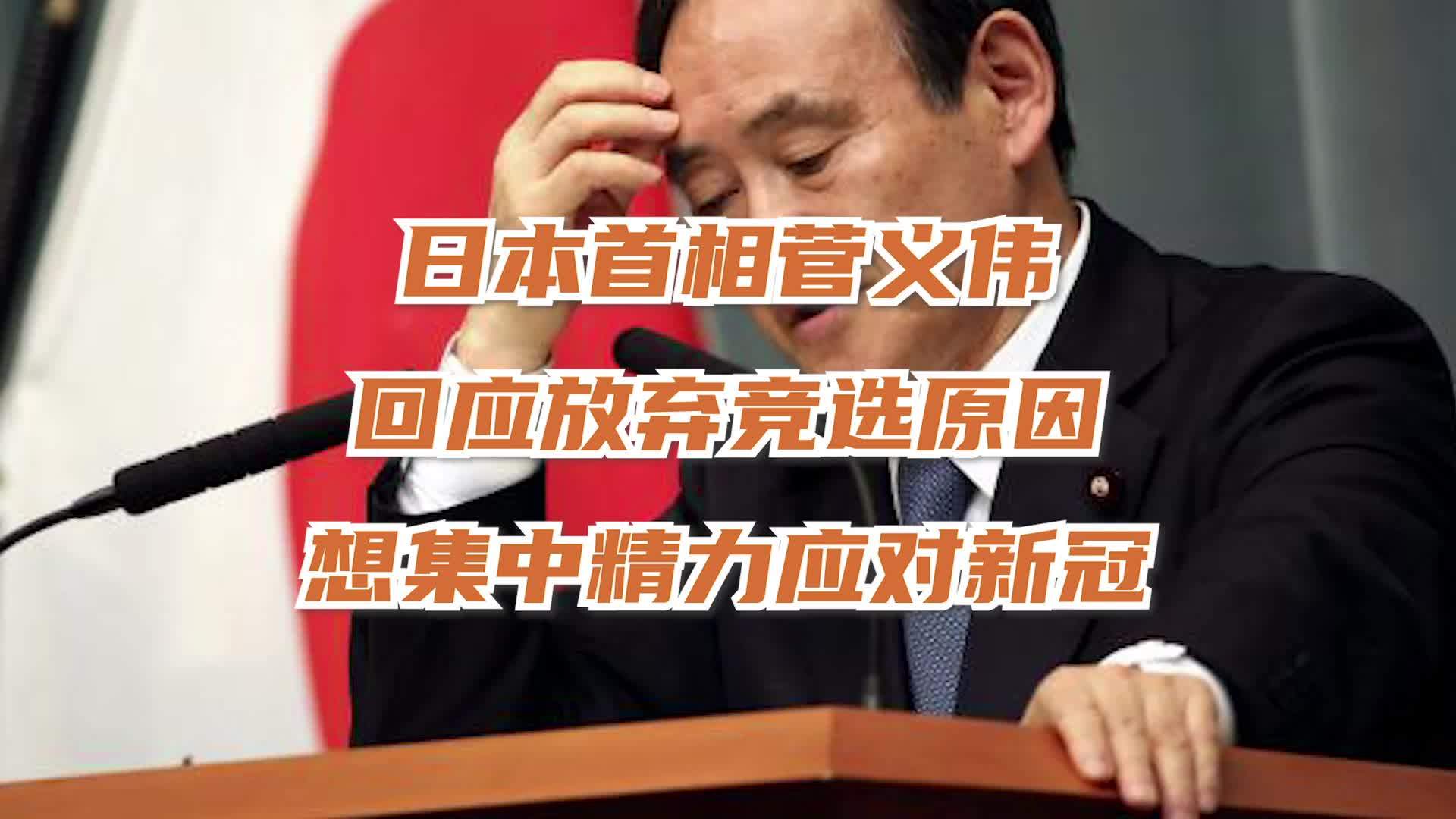 菅义伟回应放弃竞选原因:想集中精力应对新冠