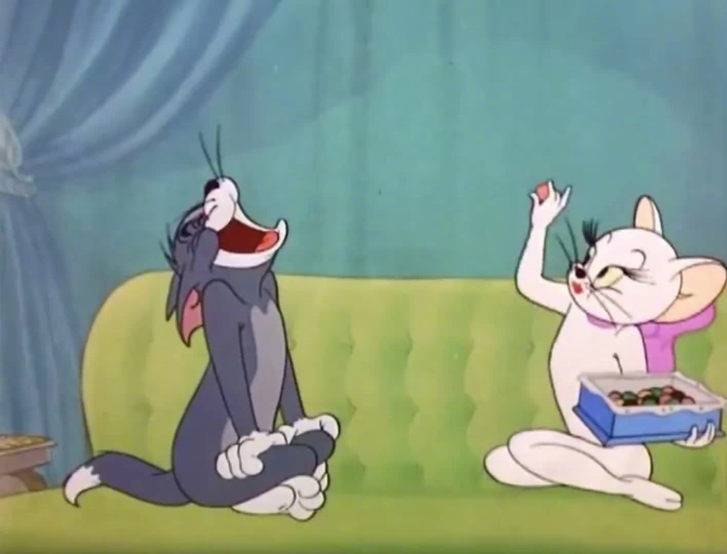 猫和老鼠里那个美丽白猫,是我们阿姆的梦中情猫呢