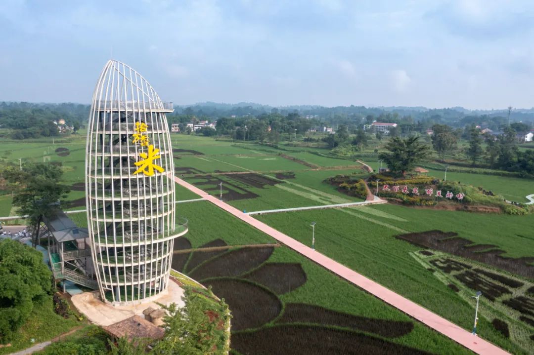 大足五彩稻田 瞿波 摄