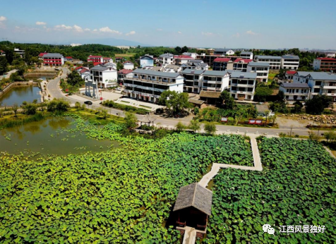 红色氧吧火车餐厅九色玫瑰南昌这个小村子不简单呢