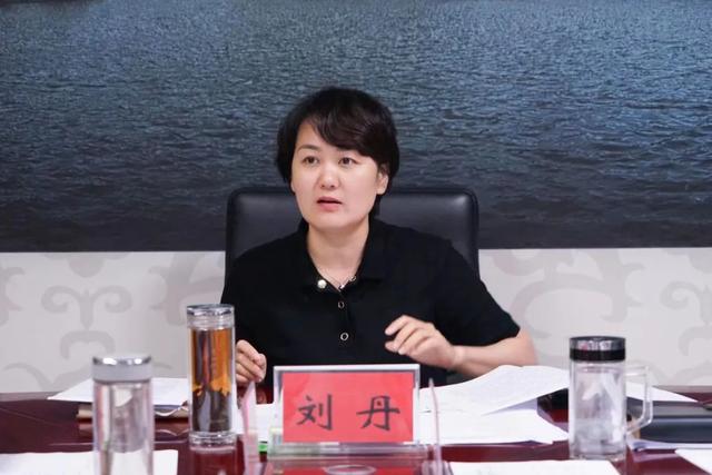 邯郸丛台区区长刘丹专题调度涉房地产领域信访事项化解进展情况