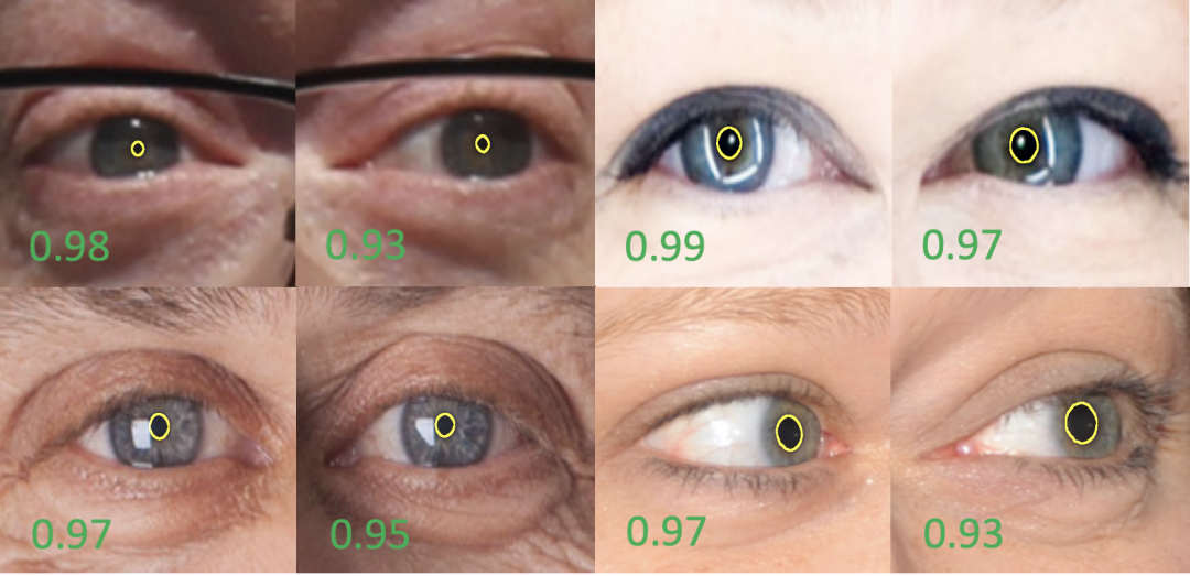 华人团队利用瞳孔形状判断「真假」人像