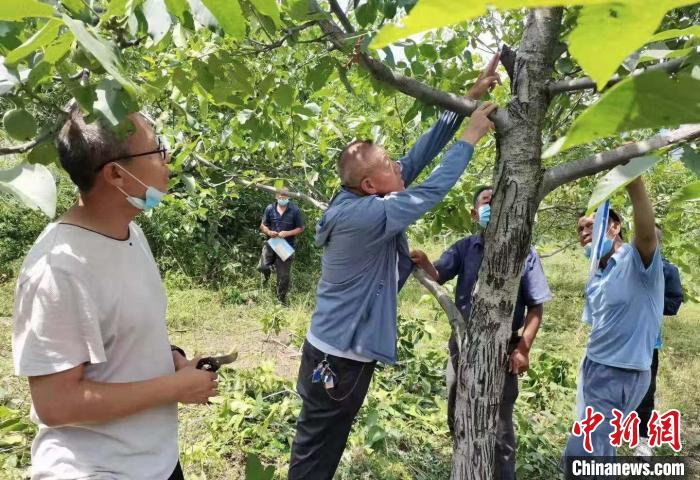 图为农业技术人员在田间地头对农民进行指导。王晶 摄