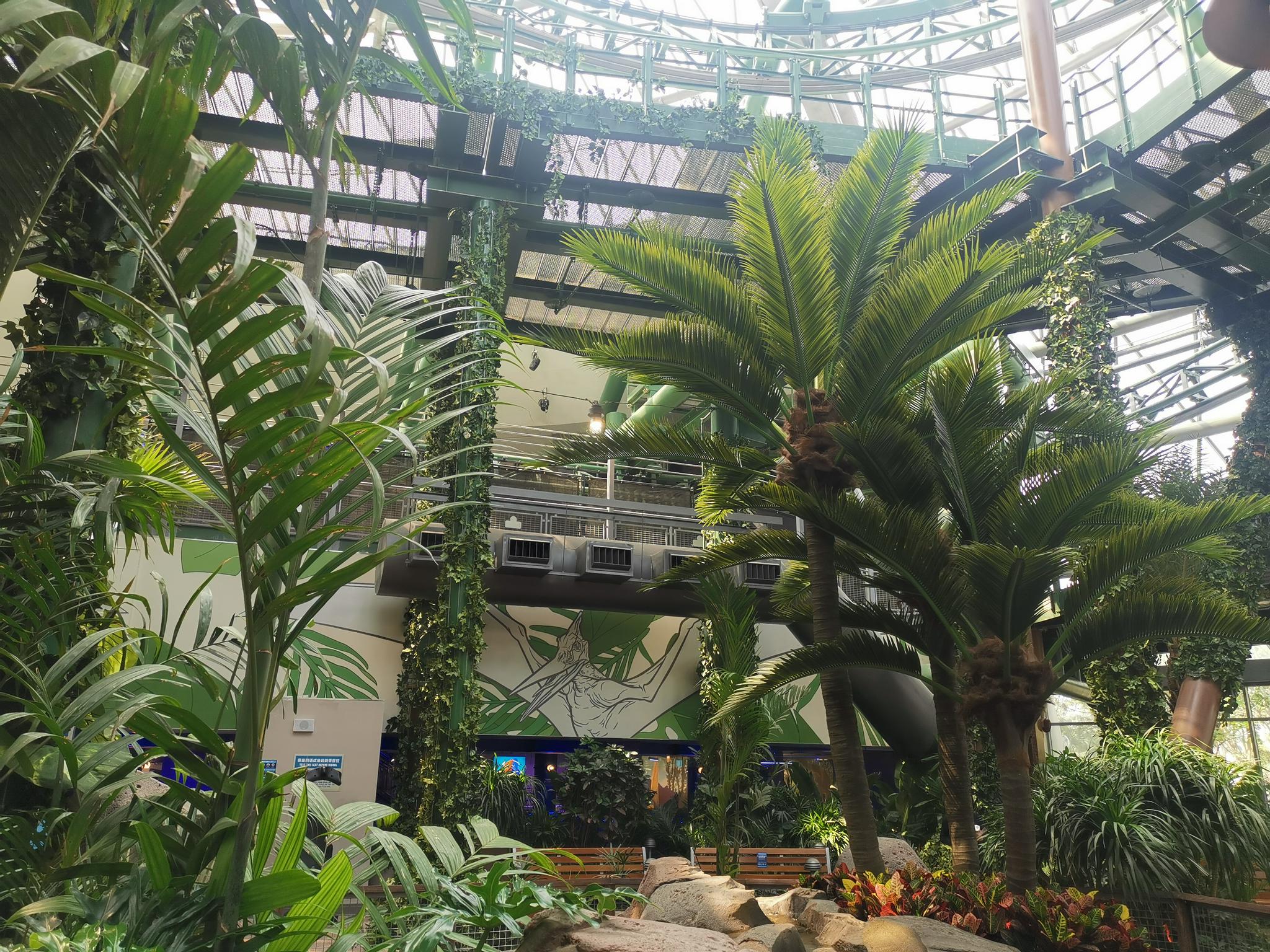 摄绿化配套项目团队应用了"苗木数字化规划及精细化种植技术",根据每