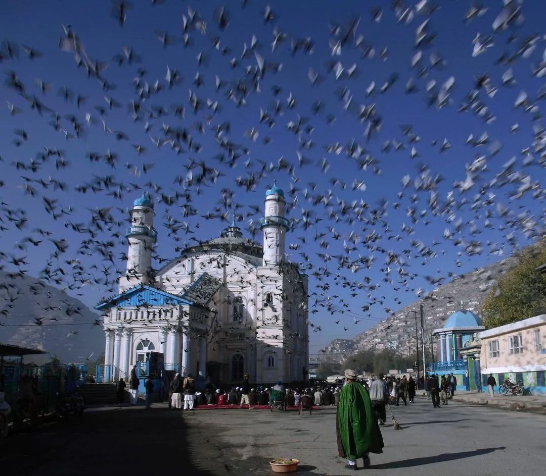 2次普利策奖得主拍下阿富汗现状,戳中无数人的心