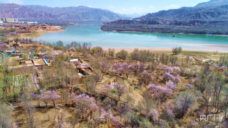 海东市化隆县群科镇安达其哈村(央广网发 樊永涛 摄)