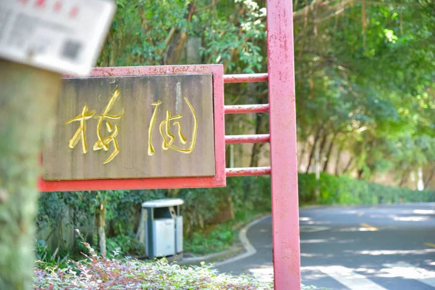 东京奥运斩获4枚奖牌,还是袁隆平院士的母校|杏园|橘园|西南大学_新浪