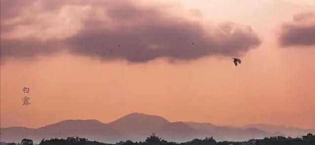 白露到,农村老人说白露有“五怕”,分别指啥?看完明白休闲区蓝鸢梦想 - Www.slyday.coM 白露到,农村老人说白露有“五怕”,分别指啥?看完明白休闲区蓝鸢梦想 - Www.slyday.coM