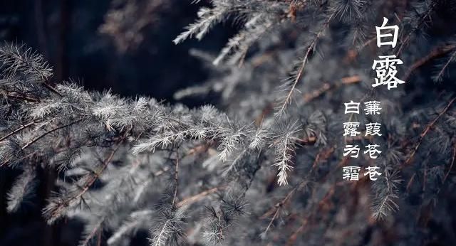 白露到,农村老人说白露有“五怕”,分别指啥?看完明白休闲区蓝鸢梦想 - Www.slyday.coM 白露到,农村老人说白露有“五怕”,分别指啥?看完明白休闲区蓝鸢梦想 - Www.slyday.coM