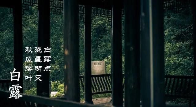 白露到,农村老人说白露有“五怕”,分别指啥?看完明白休闲区蓝鸢梦想 - Www.slyday.coM 白露到,农村老人说白露有“五怕”,分别指啥?看完明白休闲区蓝鸢梦想 - Www.slyday.coM