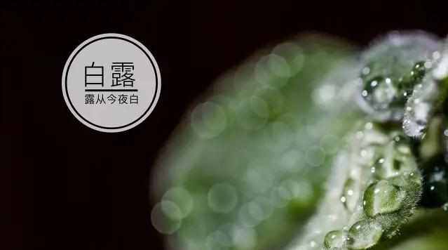 白露到,农村老人说白露有“五怕”,分别指啥?看完明白休闲区蓝鸢梦想 - Www.slyday.coM 白露到,农村老人说白露有“五怕”,分别指啥?看完明白休闲区蓝鸢梦想 - Www.slyday.coM