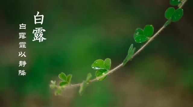 白露到,农村老人说白露有“五怕”,分别指啥?看完明白休闲区蓝鸢梦想 - Www.slyday.coM 白露到,农村老人说白露有“五怕”,分别指啥?看完明白休闲区蓝鸢梦想 - Www.slyday.coM