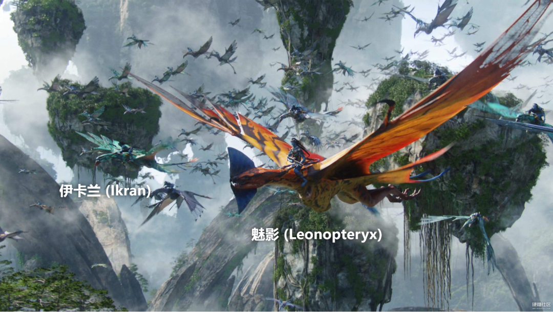 研究了20多年翼龙和恐龙很多人羡慕我的工作