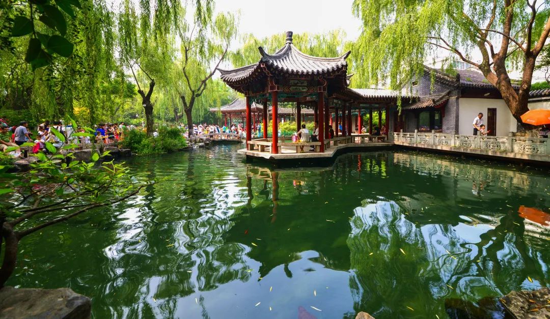 济南泉群又要撒欢啦~|济南市_新浪新闻