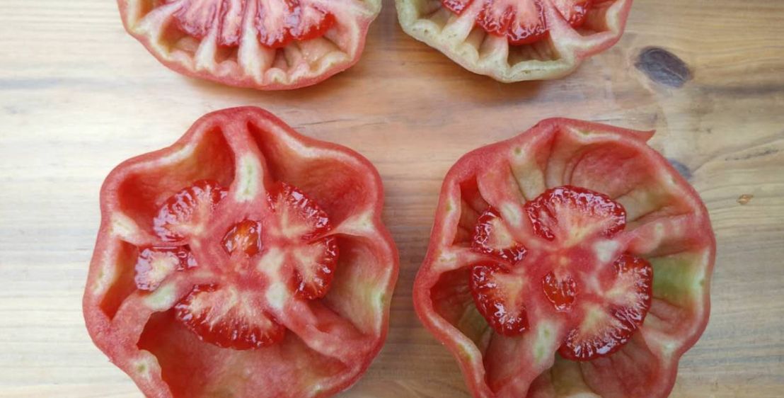 西红柿空心果,影响品质和产量,注意几点可以避免|西红柿|果实|养分