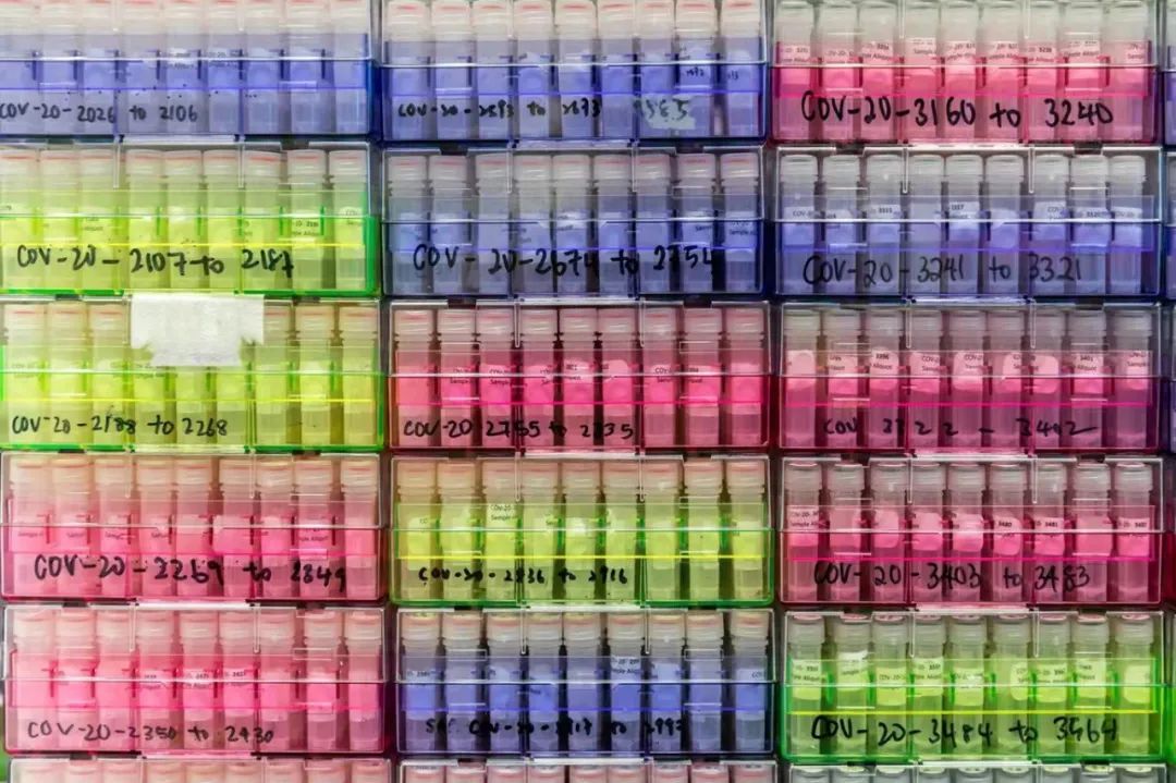 南非出现新冠病毒C.1.2变异毒株，从源头上阻止病毒传播仍是防疫关键休闲区蓝鸢梦想 - Www.slyday.coM