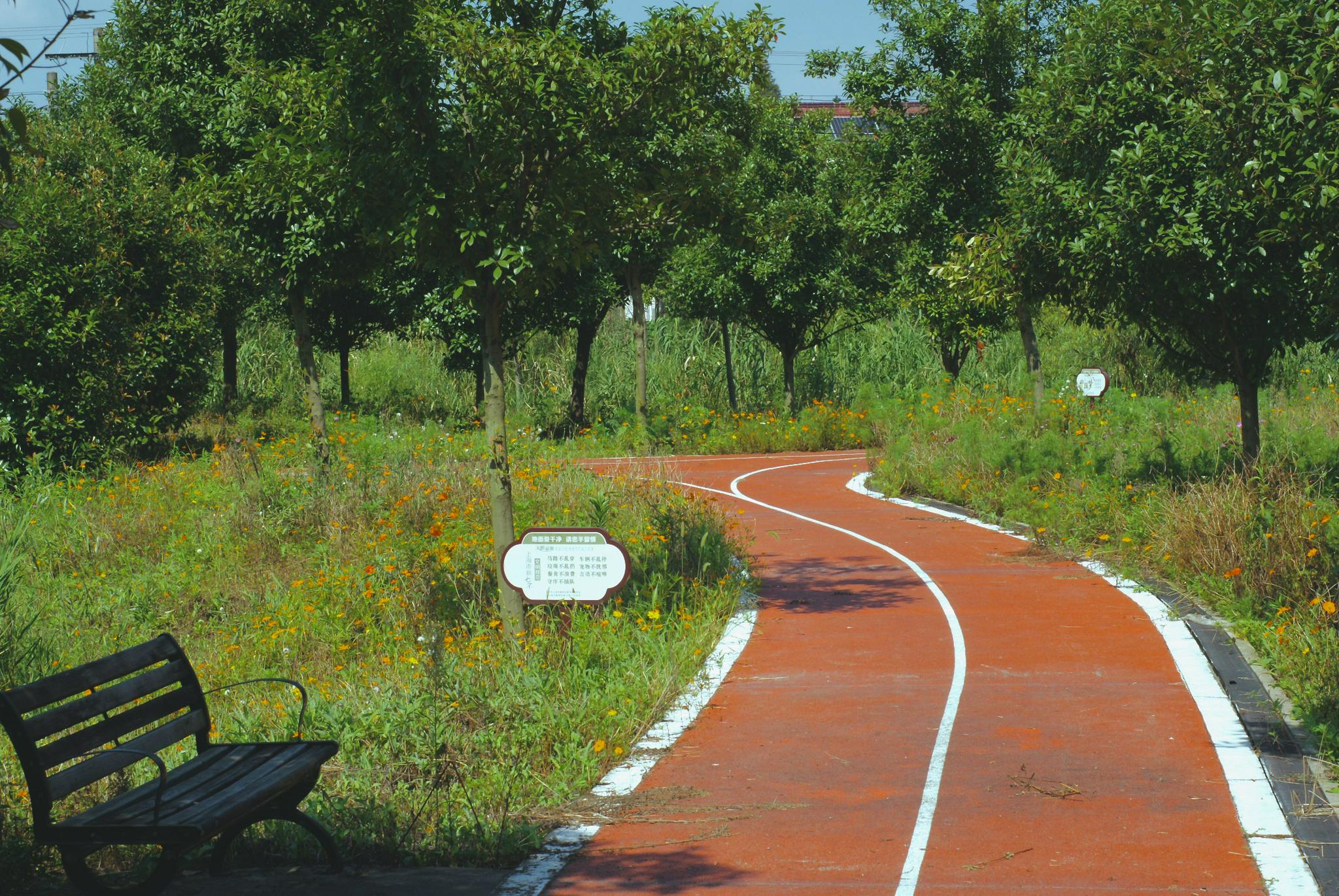 井亭村生态景观廊道本文图片除标注外均为澎湃新闻记者朱喆图