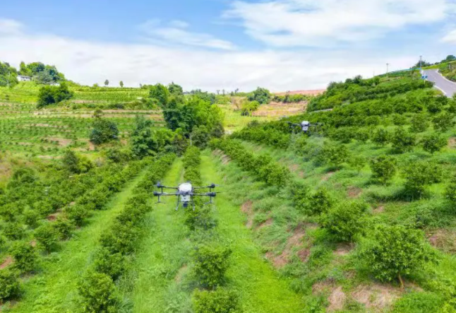 平台对无人果园进行智能监测&nbsp;杨荟琳&nbsp; 摄