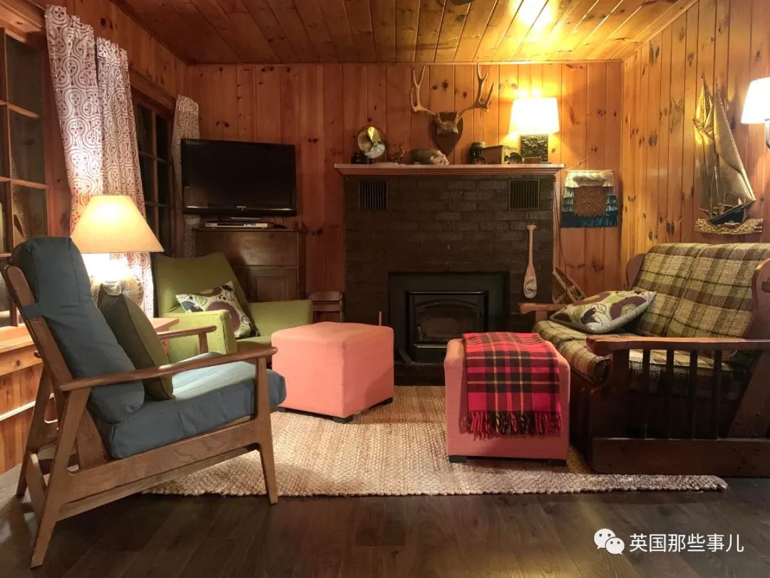 远离人群无比安静这些林中小屋大概是社恐人士的最爱了