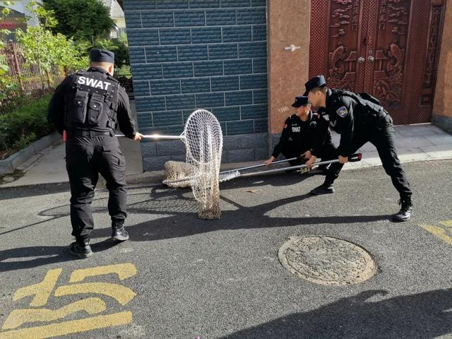 处罚记录将终身留存！德州整治不文明养犬又放大招休闲区蓝鸢梦想 - Www.slyday.coM