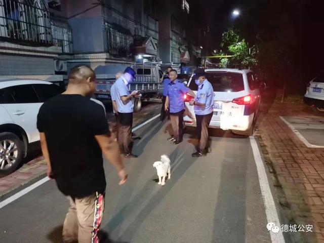 处罚记录将终身留存！德州整治不文明养犬又放大招休闲区蓝鸢梦想 - Www.slyday.coM