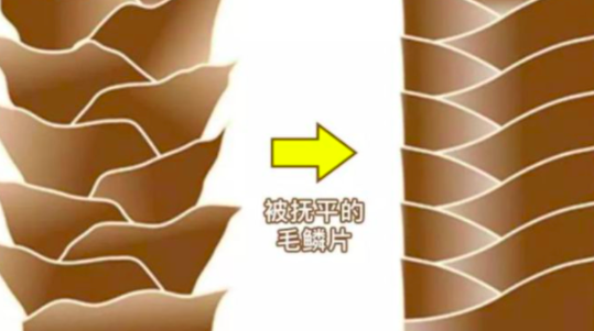 你花1600元染的头发都是智商税