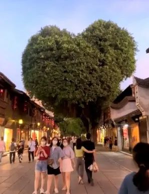 【早安·黑龙江】广州新增1例本土无症状感染者，居民连夜核酸检测休闲区蓝鸢梦想 - Www.slyday.coM