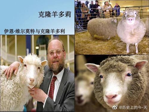 历史上的今天1996年7月5日克隆羊多莉诞生